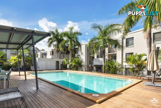 ID:21153243 7 Landsborough Terrace Toowong QLD 4066
