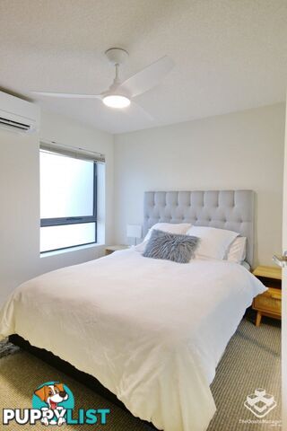 ID:21153243 7 Landsborough Terrace Toowong QLD 4066