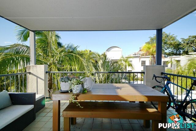ID:21153243 7 Landsborough Terrace Toowong QLD 4066