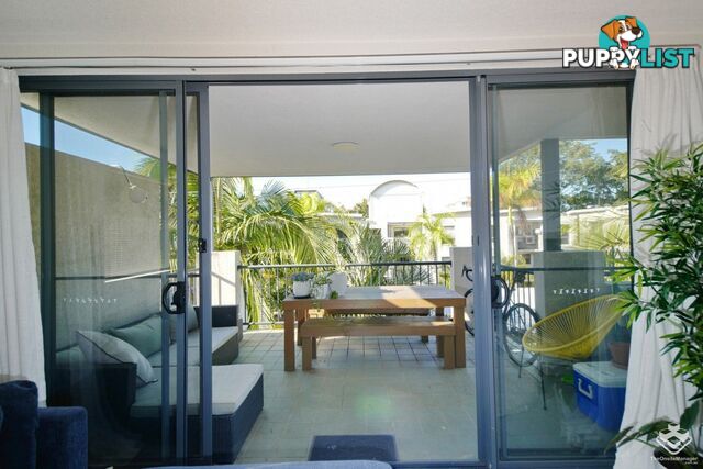 ID:21153243 7 Landsborough Terrace Toowong QLD 4066