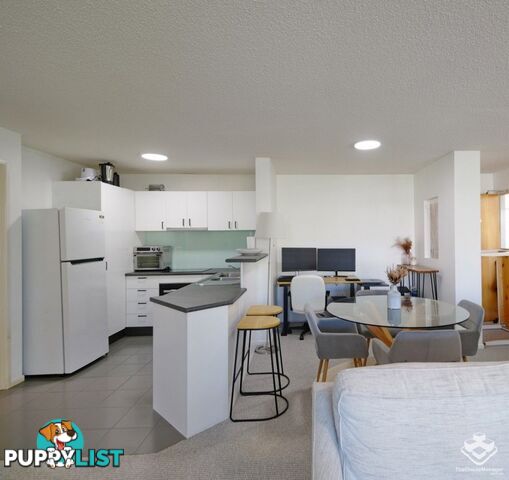 ID:21153243 7 Landsborough Terrace Toowong QLD 4066
