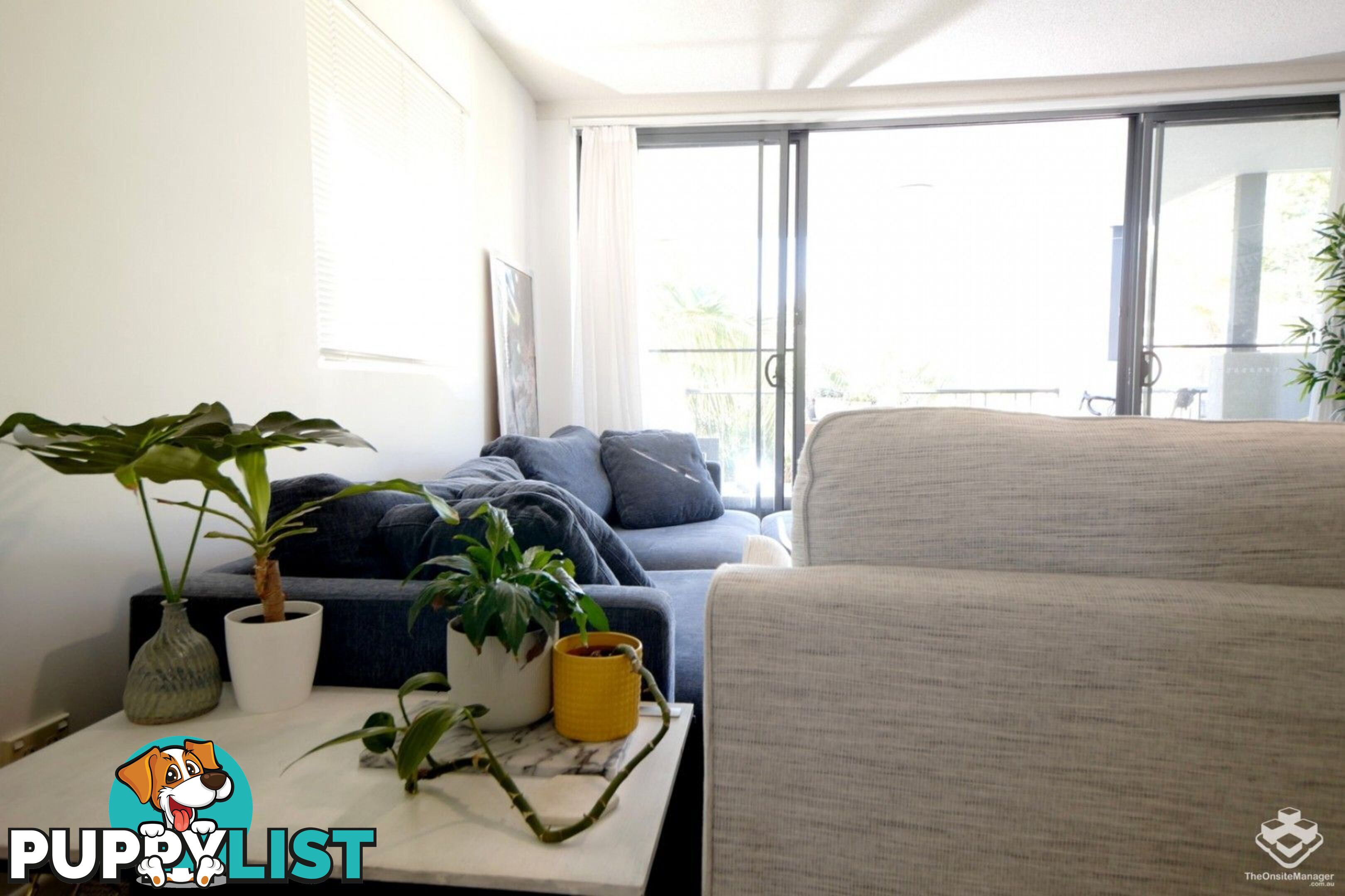 ID:21153243 7 Landsborough Terrace Toowong QLD 4066