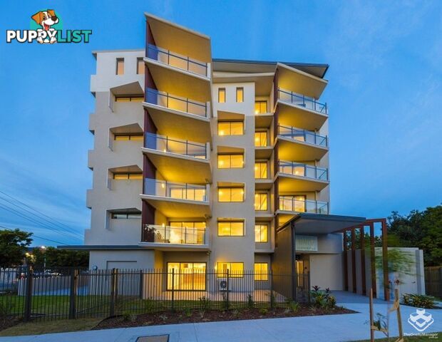 ID:21158206 35 Alice Street Kedron QLD 4031