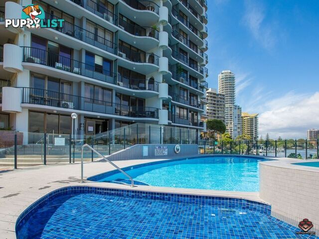 2940 Gold Coast Highway Surfers Paradise QLD 4217