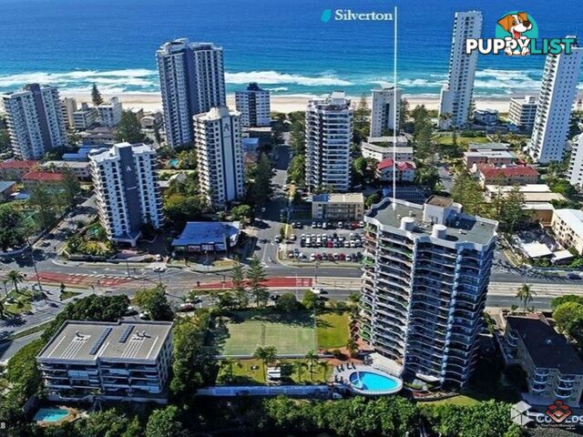 2940 Gold Coast Highway Surfers Paradise QLD 4217