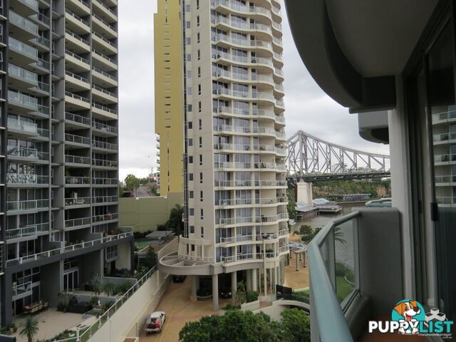 5F/35 Howard Street Brisbane City QLD 4000