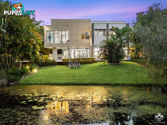 87 Toolga Street Mount Coolum QLD 4573
