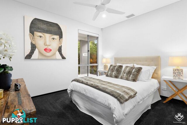 87 Toolga Street Mount Coolum QLD 4573