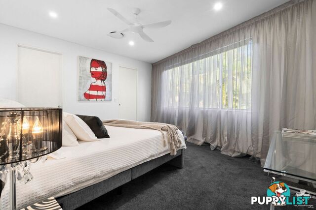 87 Toolga Street Mount Coolum QLD 4573