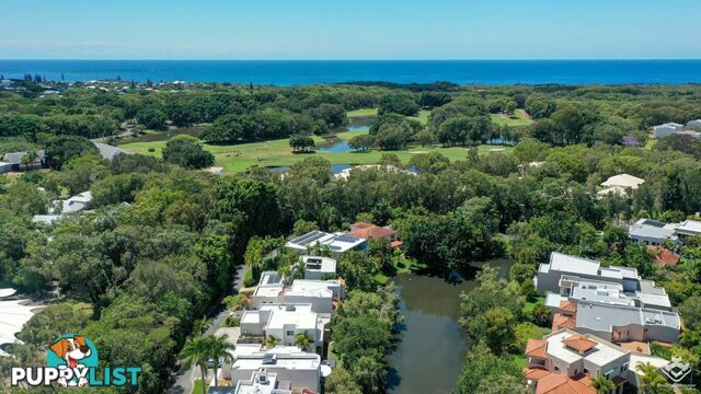 87 Toolga Street Mount Coolum QLD 4573