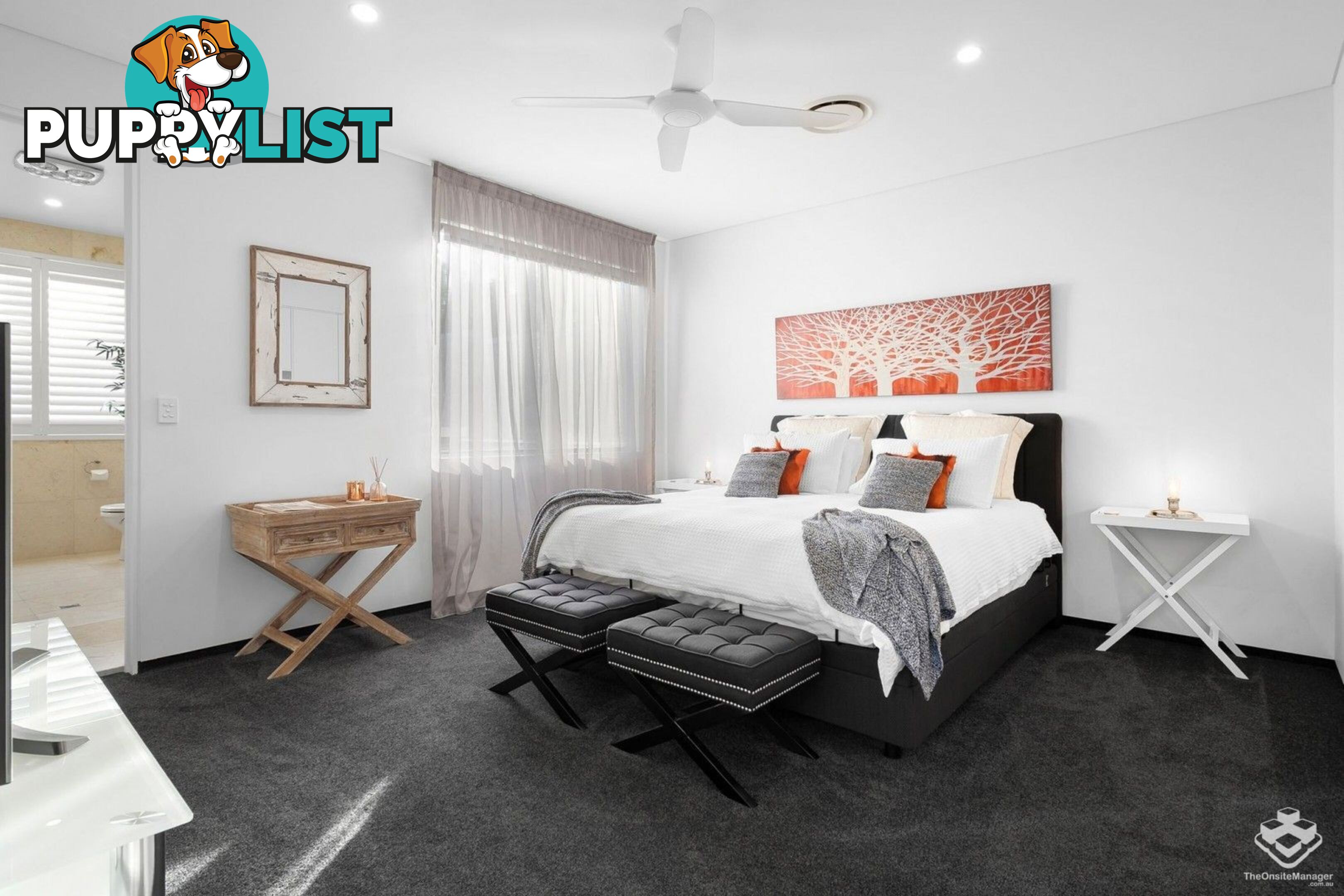 87 Toolga Street Mount Coolum QLD 4573