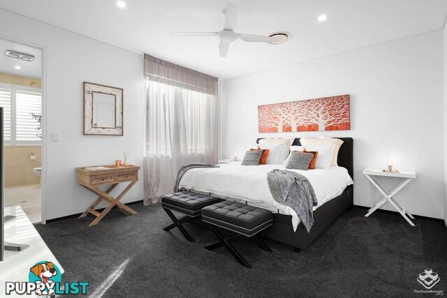 87 Toolga Street Mount Coolum QLD 4573