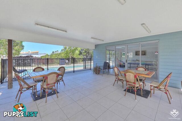 ID:21152924 3 McLennan Court North Lakes QLD 4509