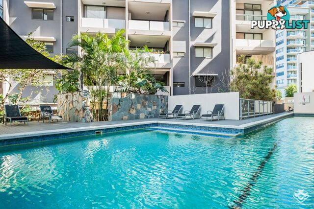 9/5 Manning Street South Brisbane QLD 4101