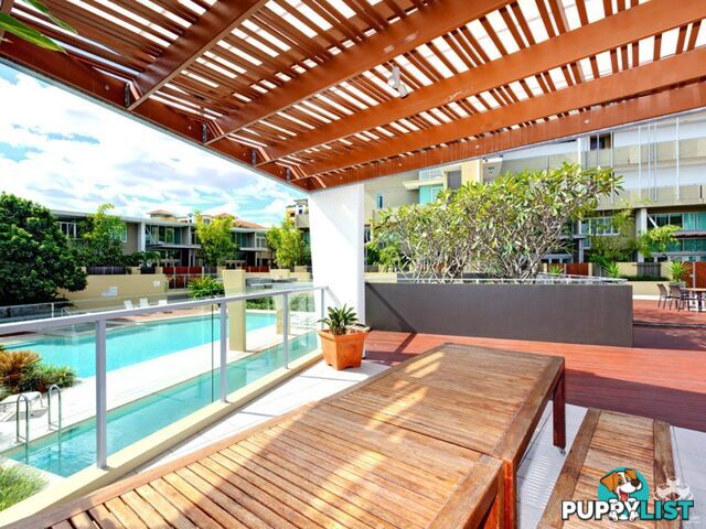 ID:21152983 20 Newstead Terrace Newstead QLD 4006