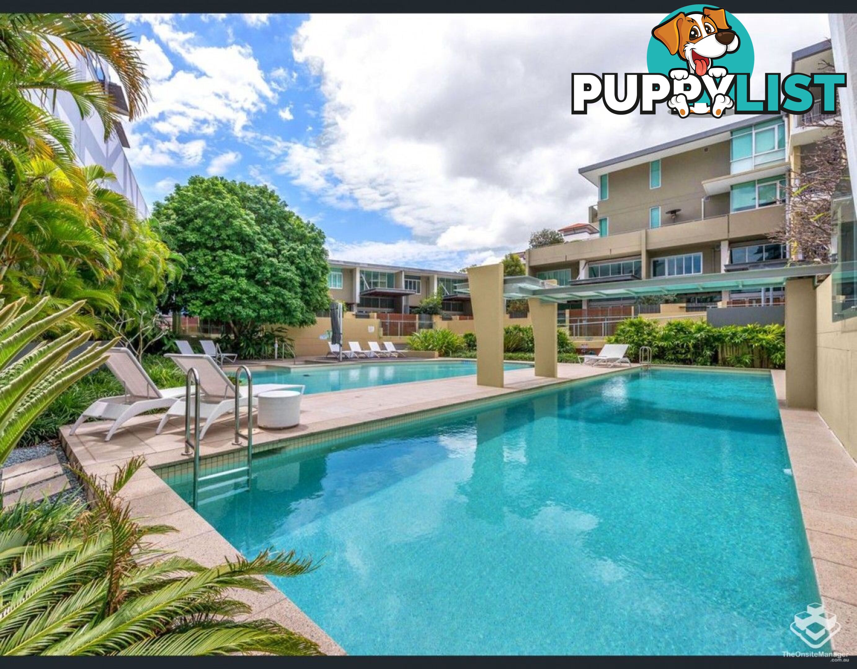 ID:21152983 20 Newstead Terrace Newstead QLD 4006
