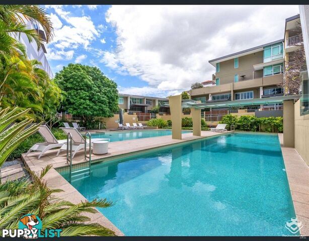 ID:21152983 20 Newstead Terrace Newstead QLD 4006