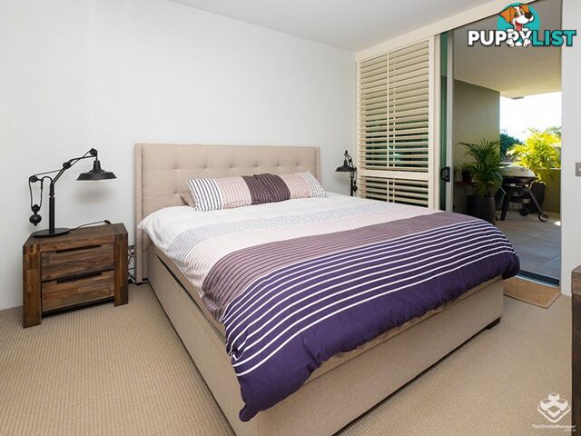 ID:21152983 20 Newstead Terrace Newstead QLD 4006