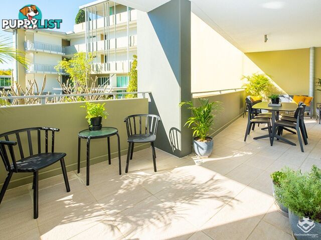 ID:21152983 20 Newstead Terrace Newstead QLD 4006