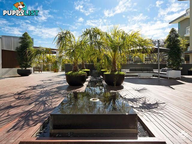 ID:21152983 20 Newstead Terrace Newstead QLD 4006