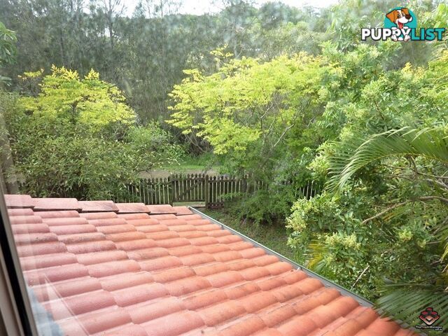 75 Brown Street Labrador QLD 4215