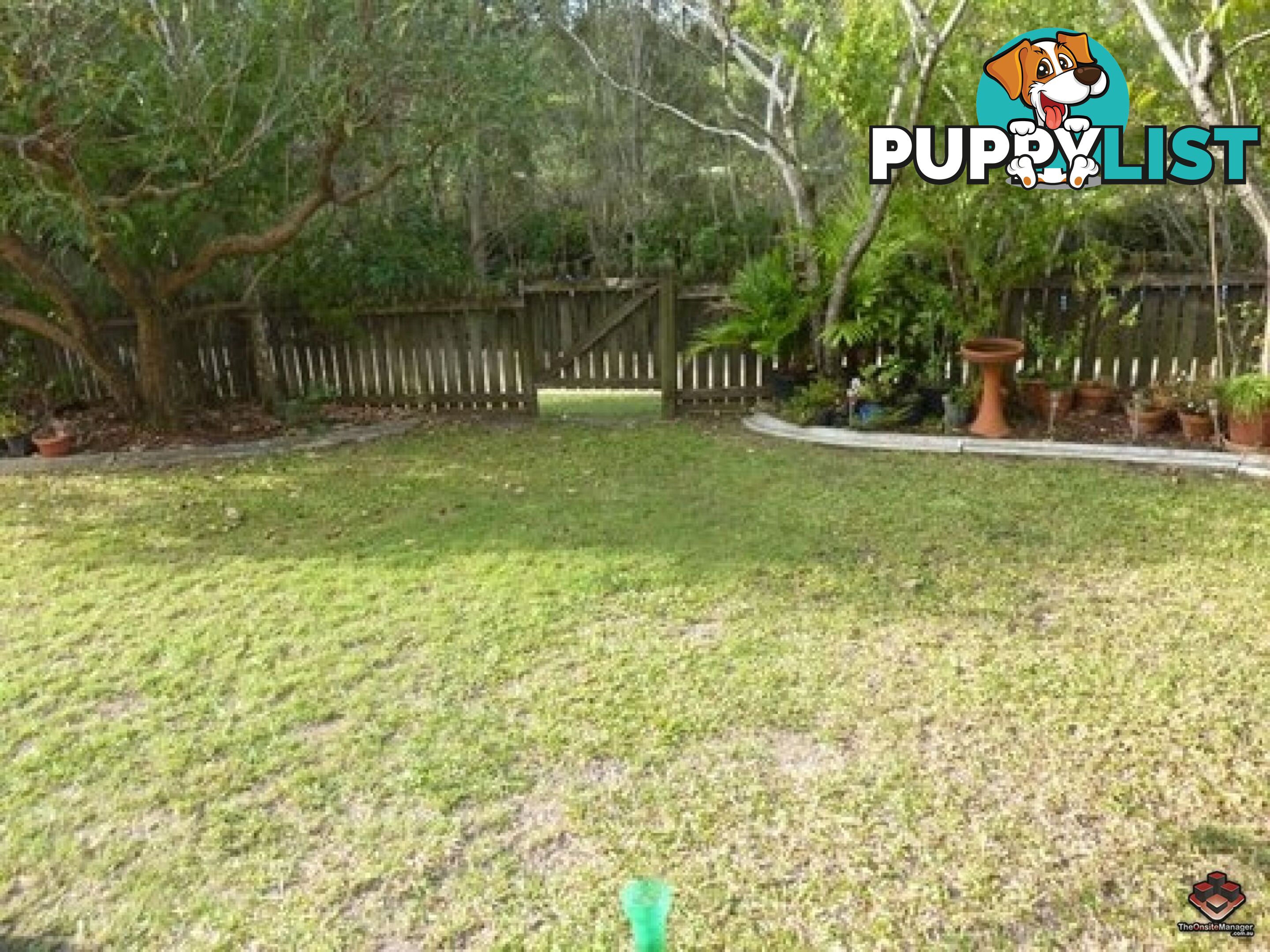 75 Brown Street Labrador QLD 4215