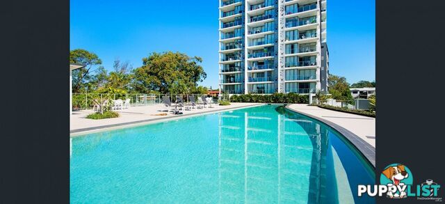 ID:21153116 378 Marine Parade Labrador QLD 4215