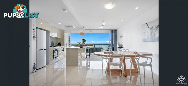 ID:21153116 378 Marine Parade Labrador QLD 4215