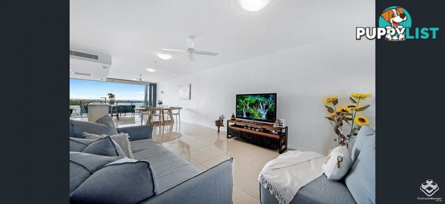 ID:21153116 378 Marine Parade Labrador QLD 4215