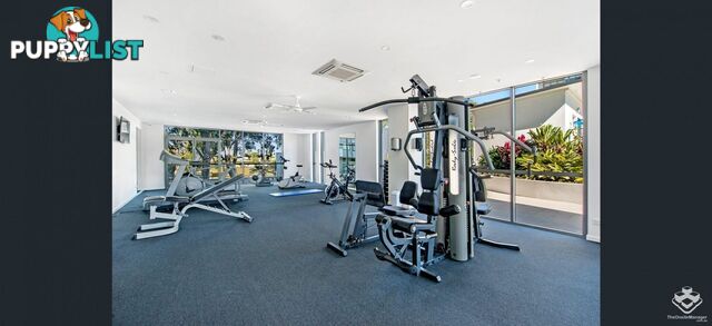 ID:21153116 378 Marine Parade Labrador QLD 4215
