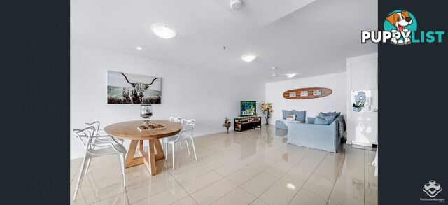 ID:21153116 378 Marine Parade Labrador QLD 4215