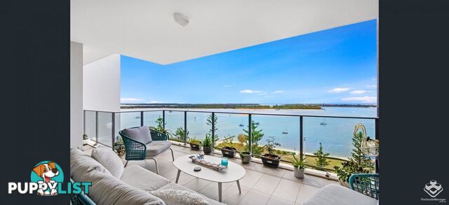 ID:21153116 378 Marine Parade Labrador QLD 4215