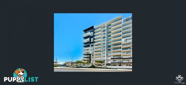 ID:21153116 378 Marine Parade Labrador QLD 4215