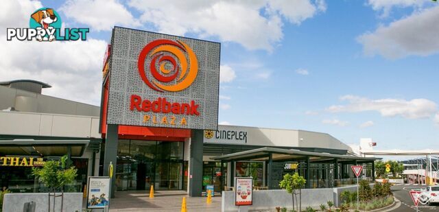 8 Chetwynd Street Redbank Plains QLD 4301