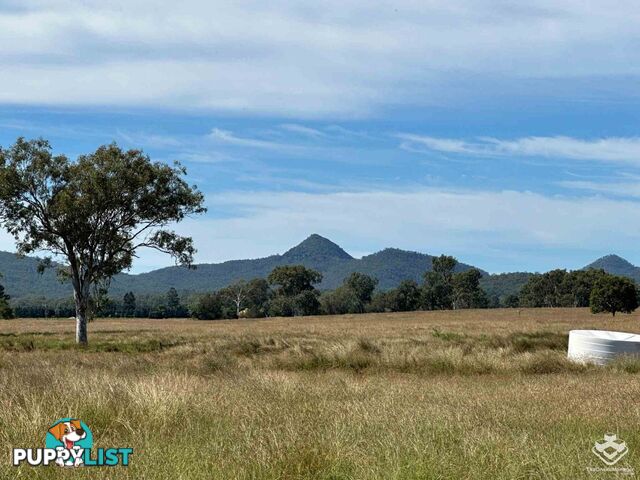 92-202 Pamplings Road Peak Crossing QLD 4306