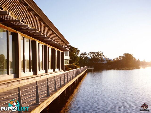 ID:3883806 25 The Corso North Lakes qld 4509