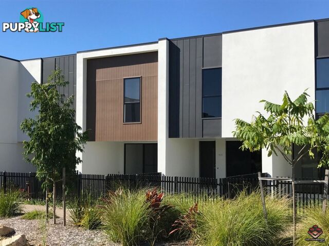 ID:3883806 25 The Corso North Lakes qld 4509