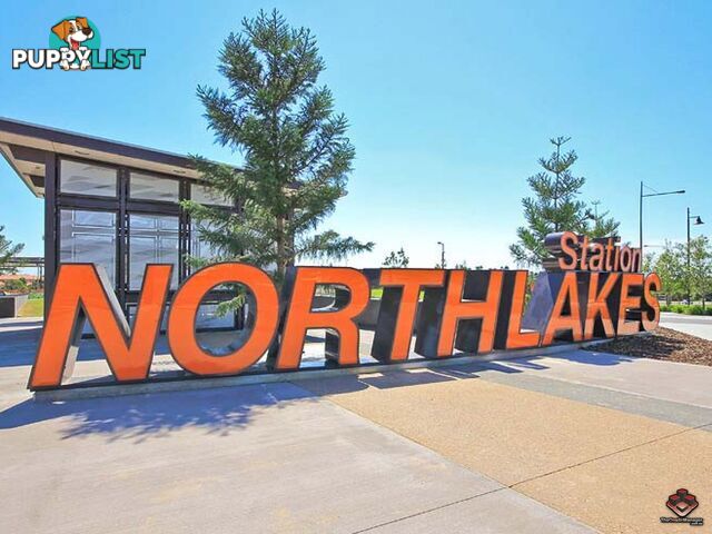ID:3883806 25 The Corso North Lakes qld 4509