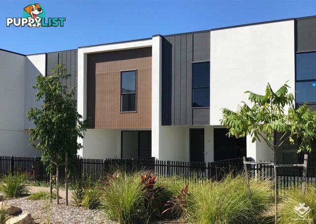 ID:3883806 25 The Corso North Lakes qld 4509