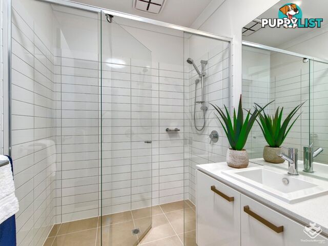 ID:3883806 25 The Corso North Lakes qld 4509