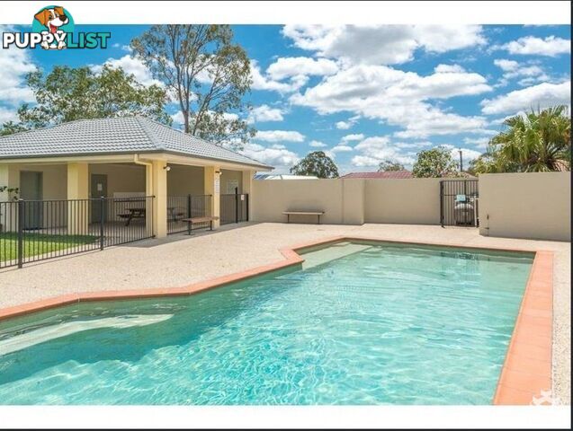 ID:21145348/300 Cliveden Avenue Corinda QLD 4075