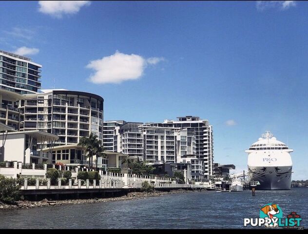 ID:3894661/37B Harbour Road Hamilton QLD 4007