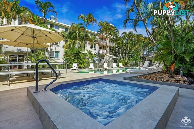 ID:21154314 35 Palm Avenue Surfers Paradise QLD 4217