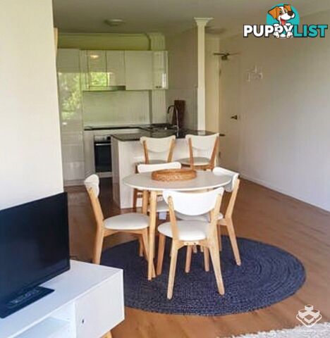 ID:21154314 35 Palm Avenue Surfers Paradise QLD 4217