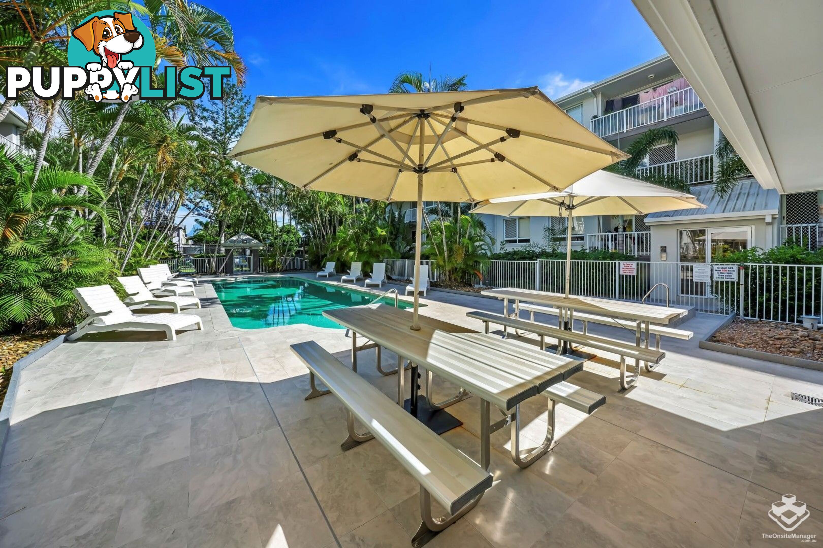 ID:21154314 35 Palm Avenue Surfers Paradise QLD 4217