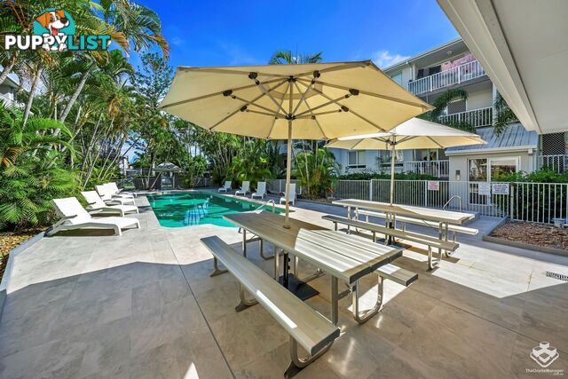 ID:21154314 35 Palm Avenue Surfers Paradise QLD 4217