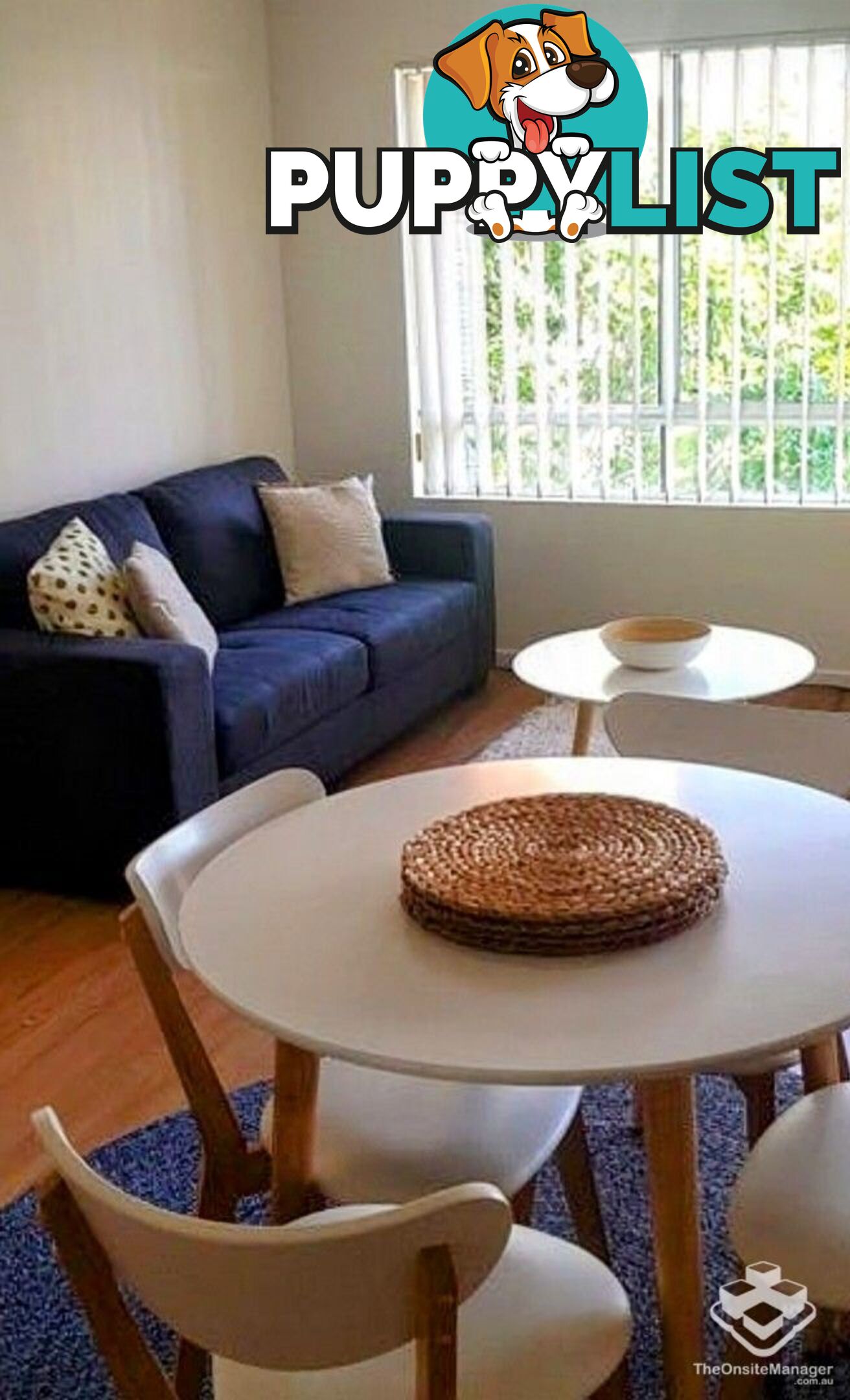 ID:21154314 35 Palm Avenue Surfers Paradise QLD 4217