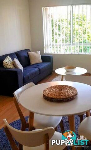 ID:21154314 35 Palm Avenue Surfers Paradise QLD 4217
