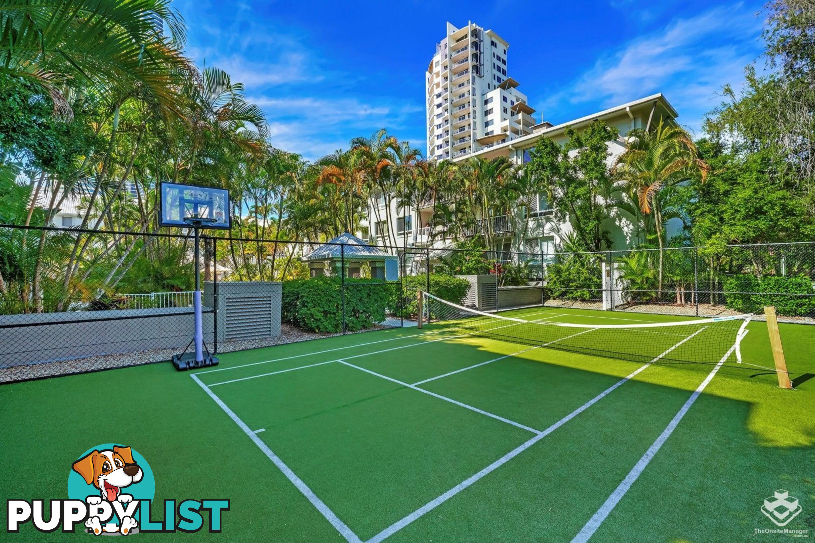 ID:21154314 35 Palm Avenue Surfers Paradise QLD 4217