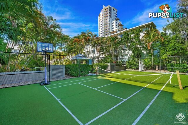 ID:21154314 35 Palm Avenue Surfers Paradise QLD 4217